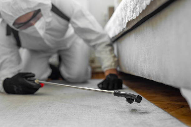 Professional Bed Bug Control technician working in California Polytechnic State University, CA