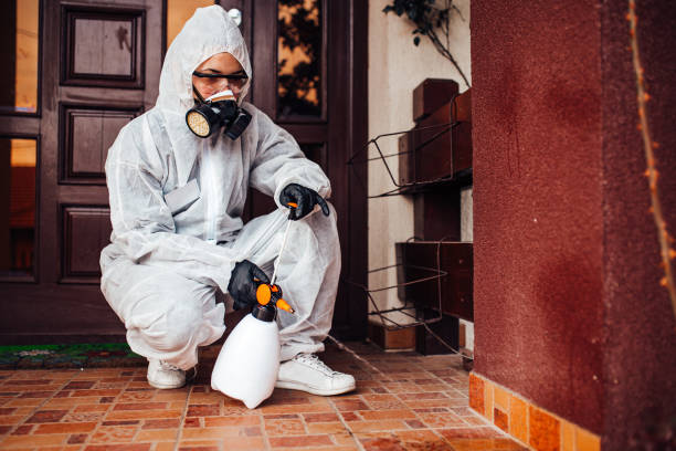 Reliable Bed Bug Control contractor in California Polytechnic State University, CA by Nex Pest Control