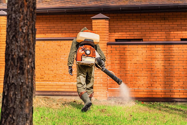 Trusted Termite Control service in California Polytechnic State University, CA - Nex Pest Control